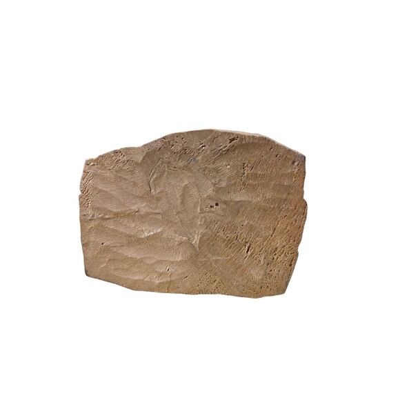 Vtg Antique Hand Carved Folk Art Man Standing Book Beard Hat Reader Stick - Picture 6 of 9